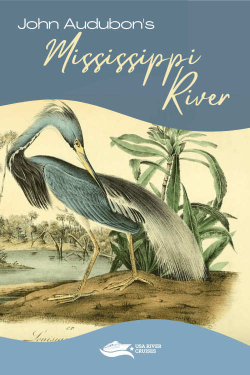 audubon on the mississippi river