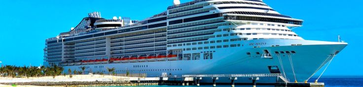 what are cruise ship doors made of