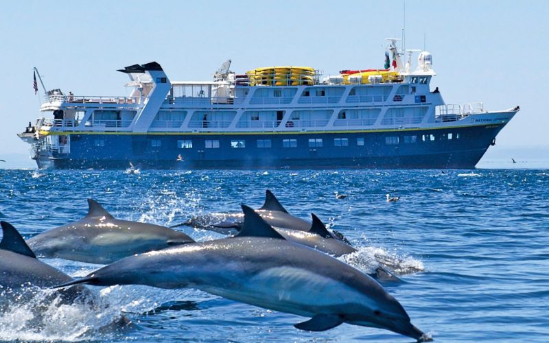 The National Geographic Sea Bird off Baja California with dolphins