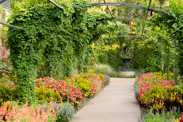 arched walkway with colored flowers at Cheekwood garden in Nashville Tennessee