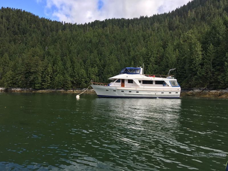 small charter boat in alaska the Northern Dream