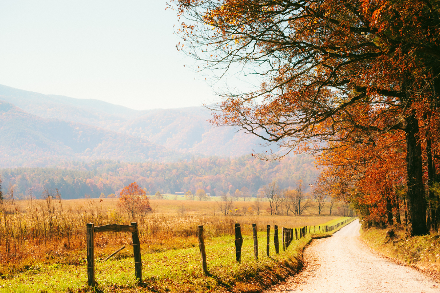 free_gatlinburg_autumn_tenn_900x600