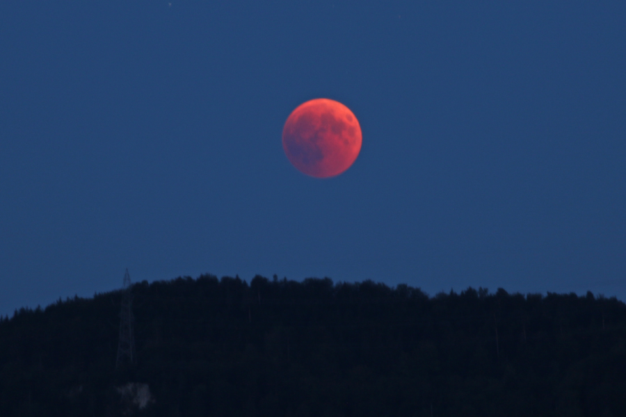 blood red full moon during a total eclipse over forested hills against a dark blue night sky